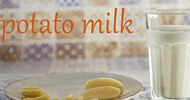 Everything you need to know about potato milk